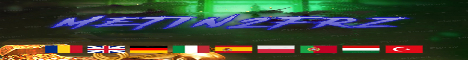Metin2FRZ banner