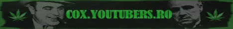 COX.YOUTUBERS.RO – Counter-Strike