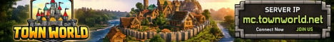 Town World banner
