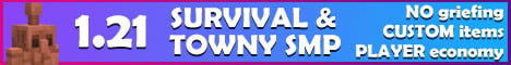 CraftYourTown banner